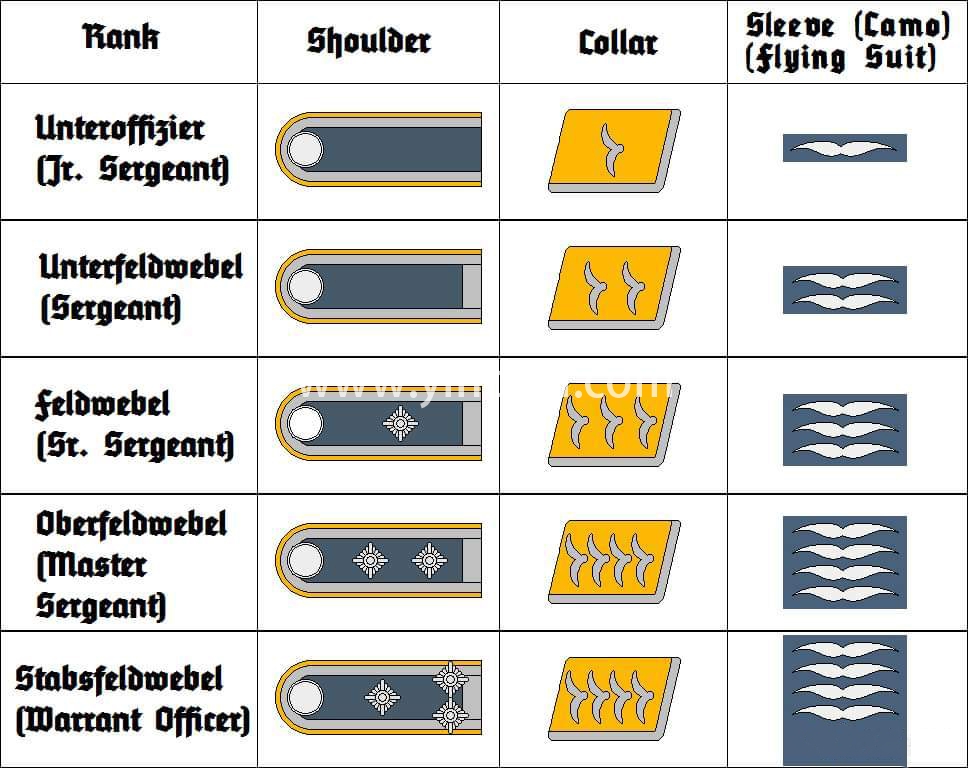 二战德国空军的肩章，领章，臂章图片