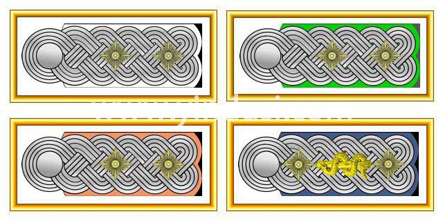 探究二战纳粹德国军官军衔颜色之谜-世界军队传统之纳粹德国正规军军衔（1935-1945）