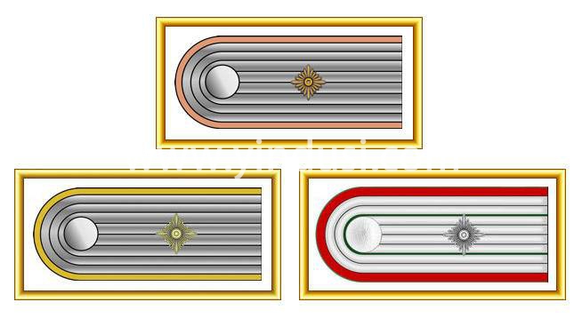 探究二战纳粹德国军官军衔颜色之谜-世界军队传统之纳粹德国正规军军衔（1935-1945）