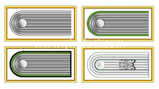 探究二战纳粹德国军官军衔颜色之谜-世界军队传统之纳粹德国正规军军衔（1935-1945）