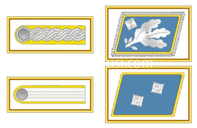 探究二战纳粹德国军官军衔颜色之谜-世界军队传统之纳粹德国正规军军衔（1935-1945）