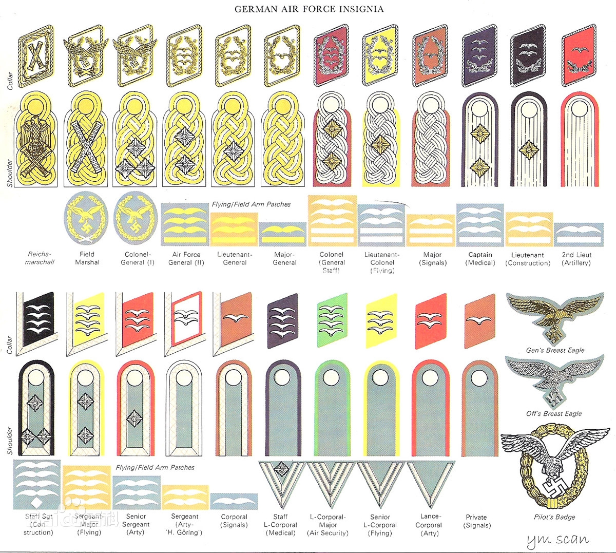 二战德国军衔，陆军，海军，空军，党卫军，World War II German rank。